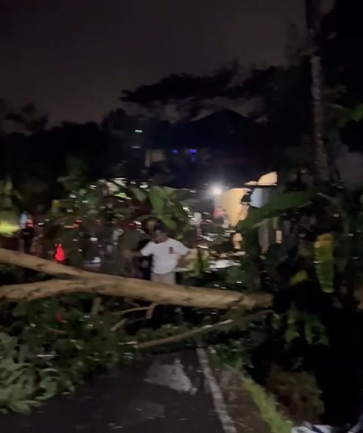 Pohon Tumbang Tutup Jalan Kabupaten Kenai Atap Rumah Warga