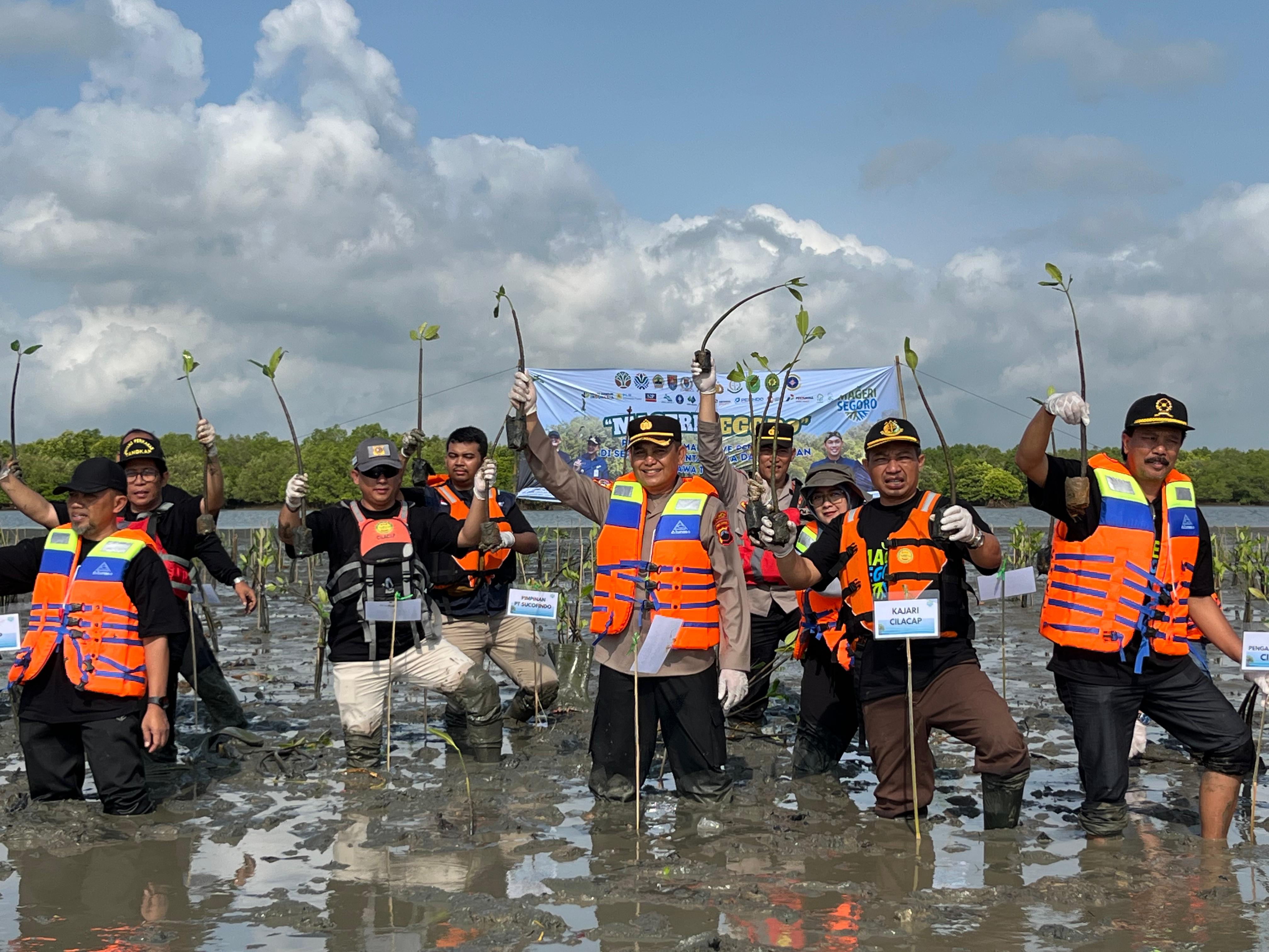 Cilacap Perkuat Benteng Alam Pesisir, Ribuan Mangrove Ditanam Lawan Tsunami