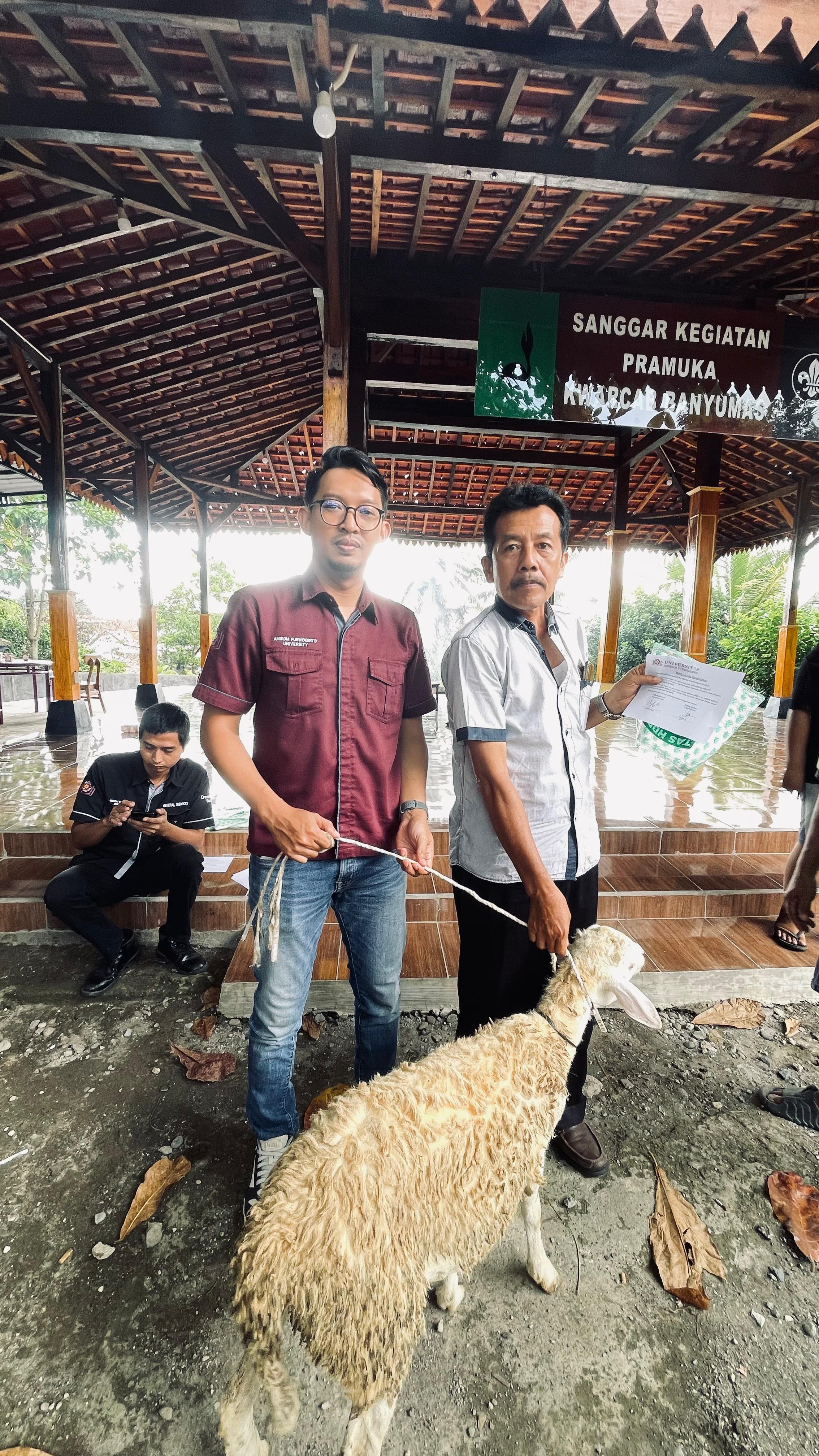 Universitas Amikom Kurban Dua Sapi dan Sepuluh Domba