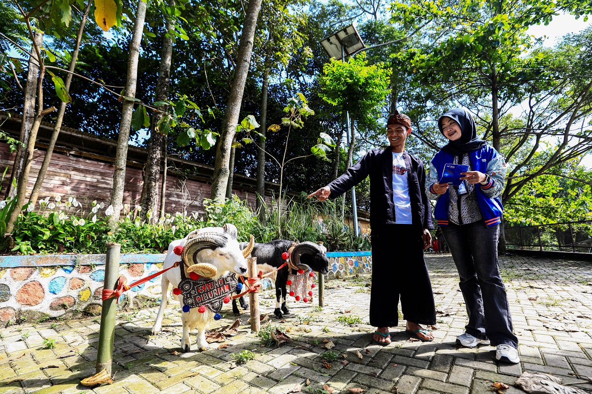 Idul Adha Jadi Momentum, BRI Peduli Tingkatkan Produktivitas Peternak Domba di Desa BRILiaN Sukalaksana Garut
