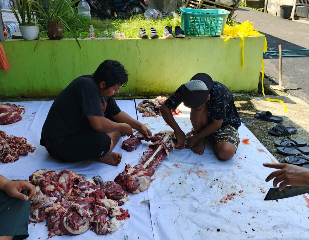 Sapi dan Kambing Kurban Berpenyakit Selama Iduladha di Purbalingga Mencapai 112 Ekor