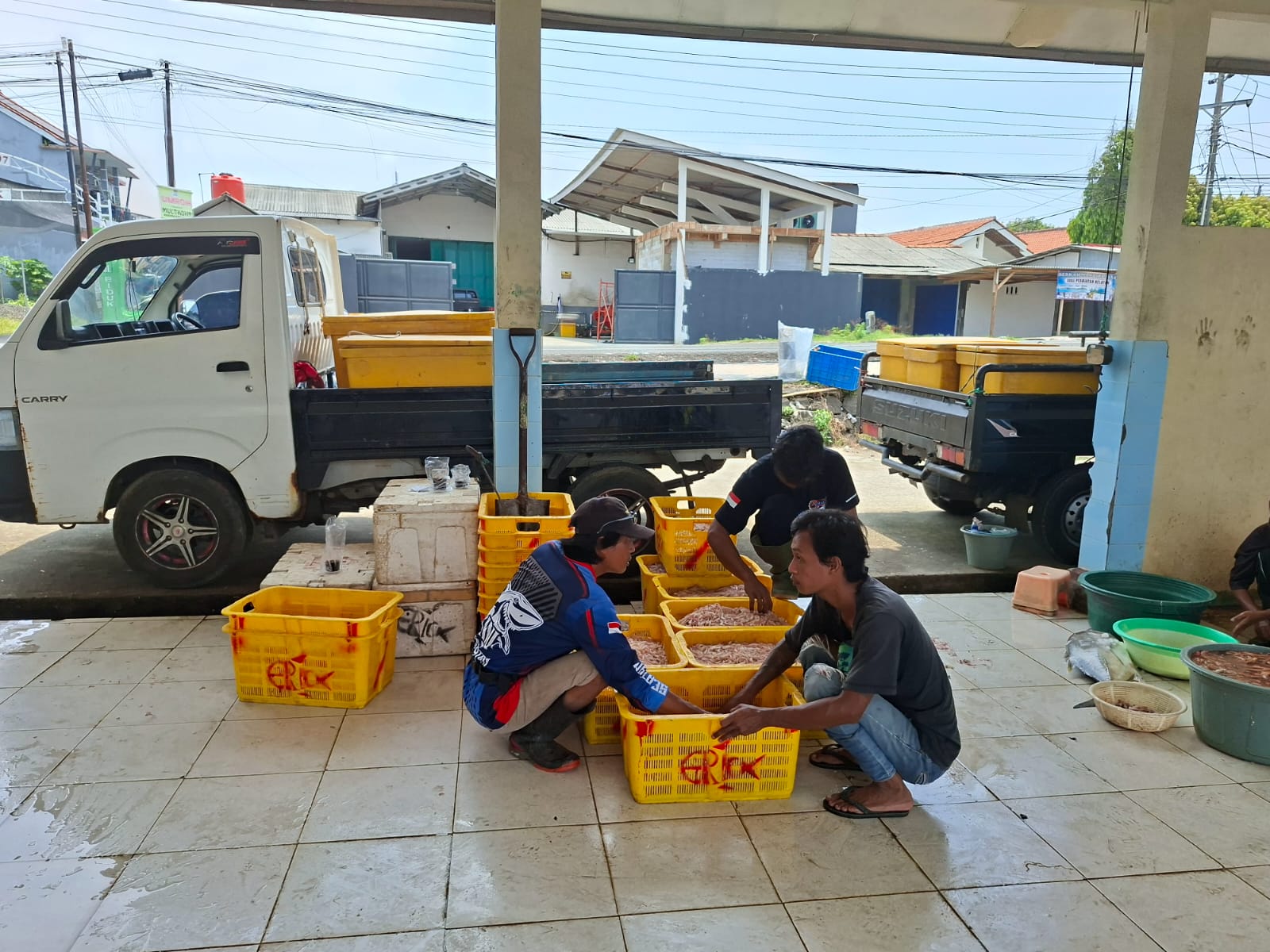 Imbas Cuaca Ekstrem, Tangkapan Ikan TPI Tegalkatilayu Anjlok 57 Persen, Nelayan Tetap Nekat Melaut
