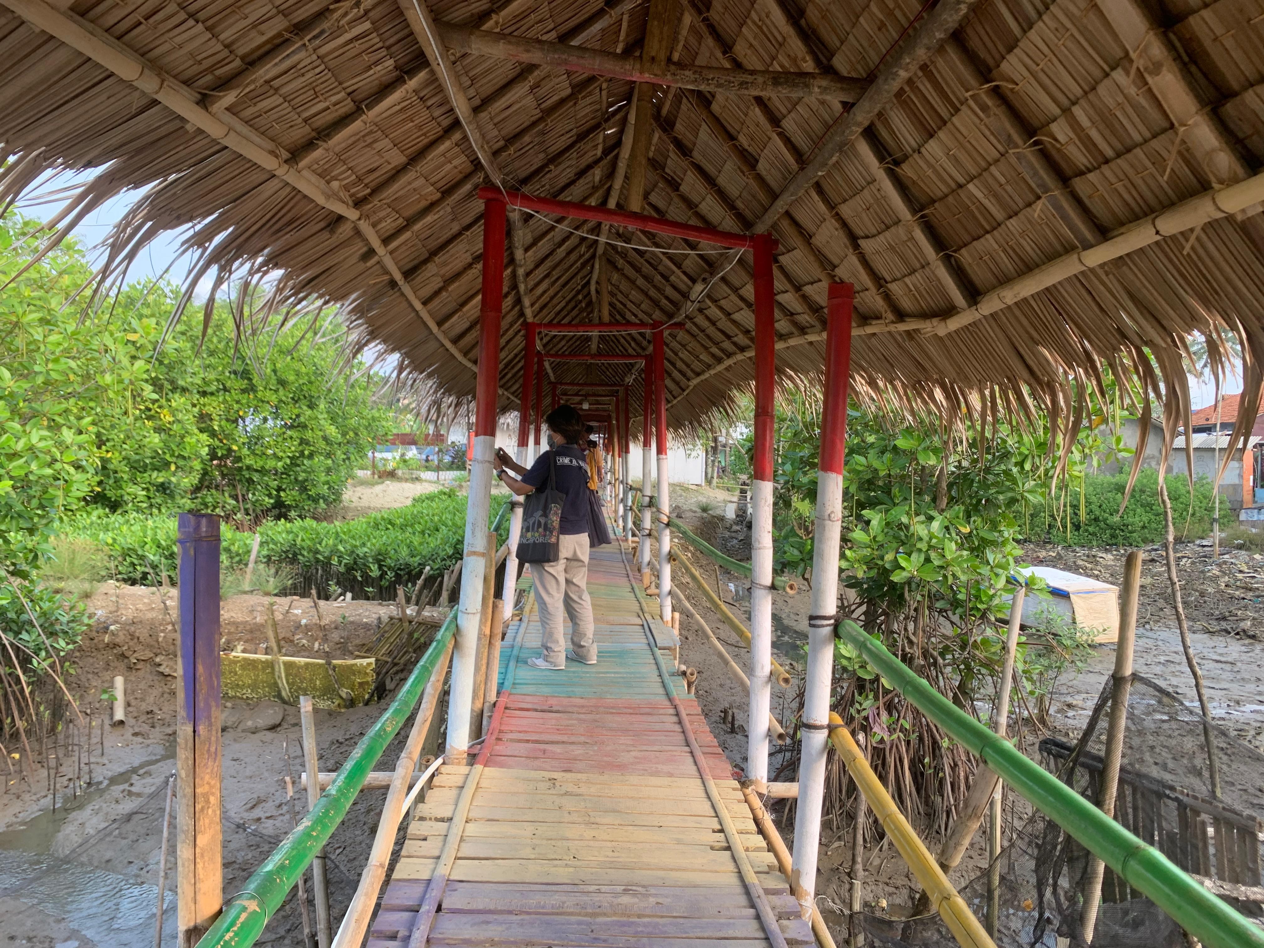 176.340 Mangrove Akan Ditanam di Cilacap Tahun Ini