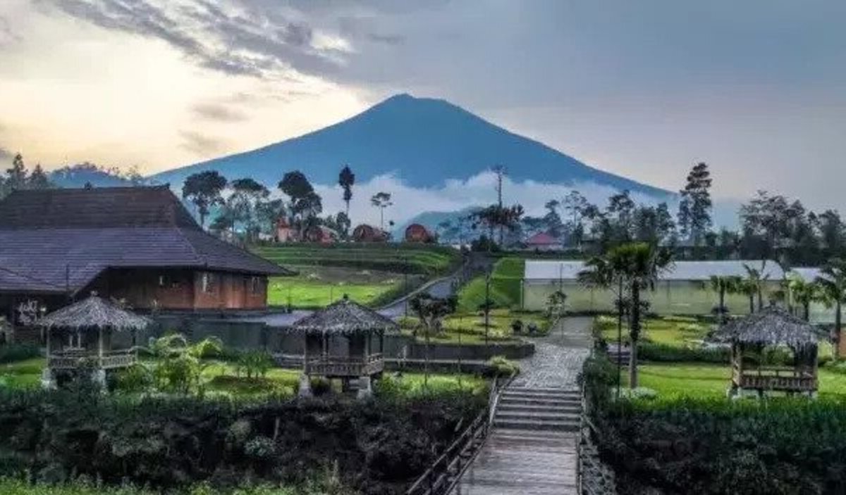 Wisata Cottage D’Las Pesona Wisata Desa Serang Purbalingga