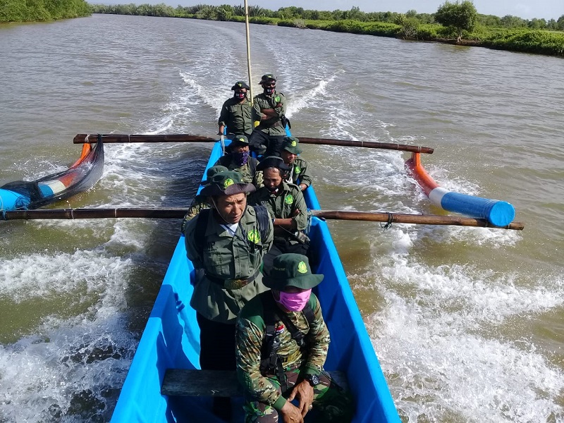 Miliki Tumbuhan dan Satwa Dilindungi, Wajib Lapor BKSDA