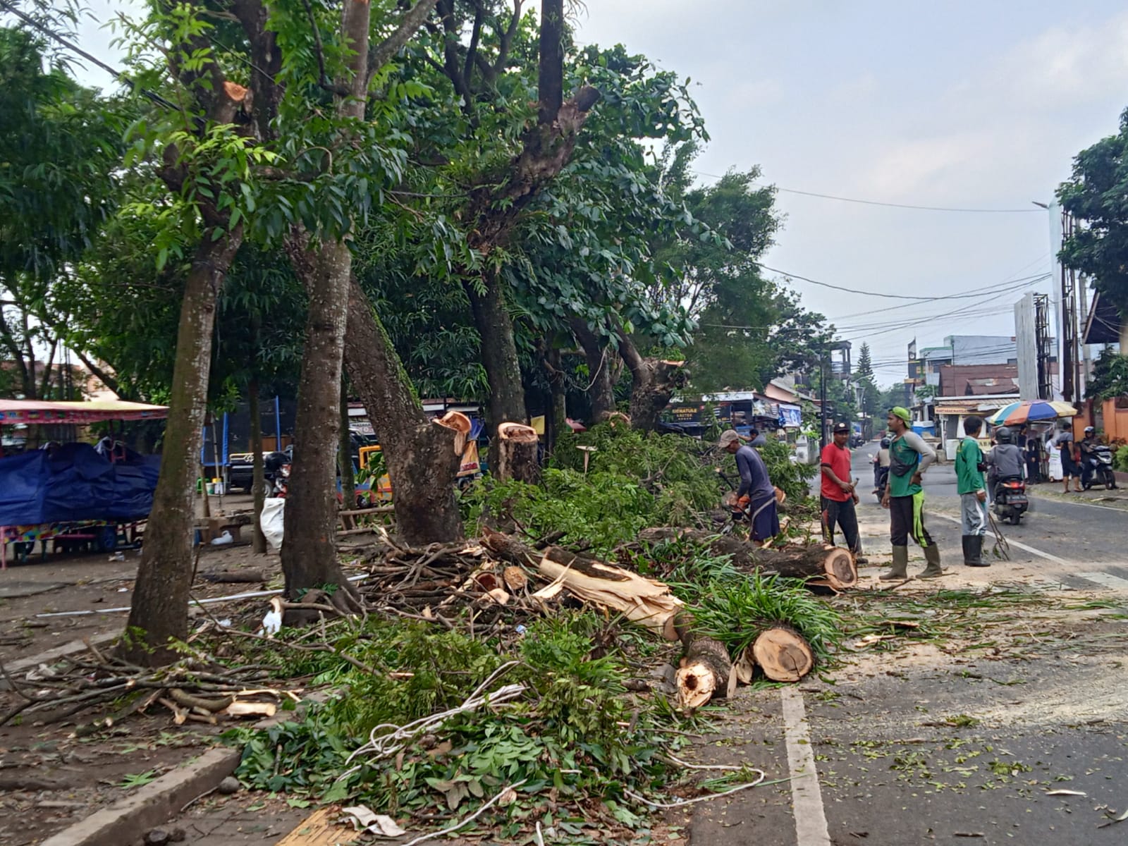 DPU PR Potong dan Pangkas Puluhan Pohon Tepi Jalan