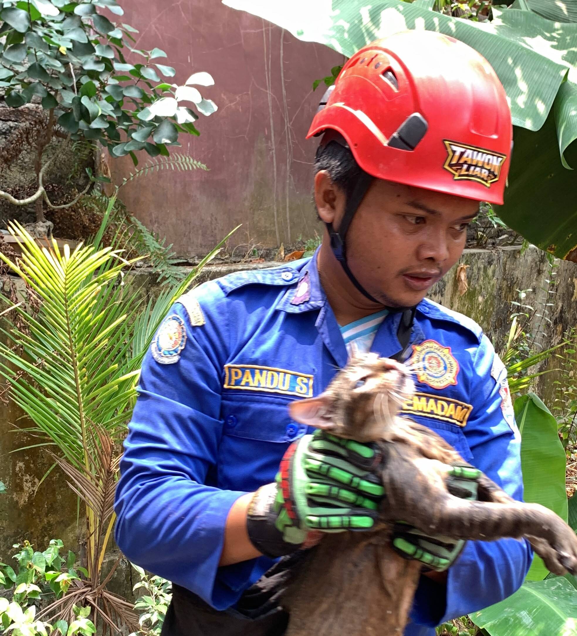 Damkar Kroya Evakuasi Kucing yang Jatuh ke Sumur Sedalam 6 Meter