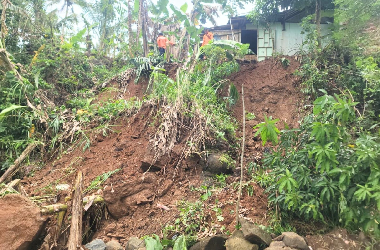 Tebing Setinggi 7 Meter Longsor Ancam Warga Sempor Kebumen