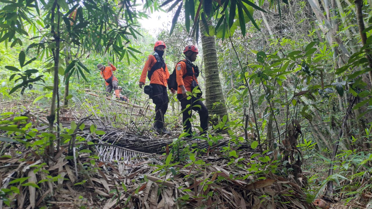 Hari Keenam, Pencarian Lansia Hilang di Banyumas Masih Nihil,  Tim SAR Sisir Hutan Pekuncen