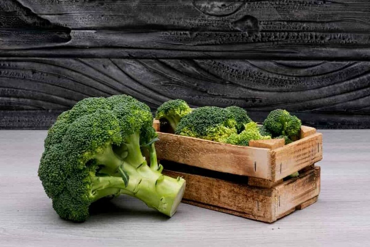 Manfaat Brokoli Hijau untuk Kesehatan Tubuh