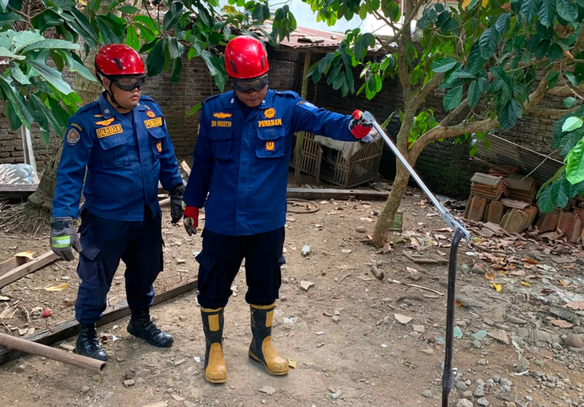 Dikhawatirkan Membahayakan, Damkar Purbalingga Evakuasi Ular Kobra di Kemangkon