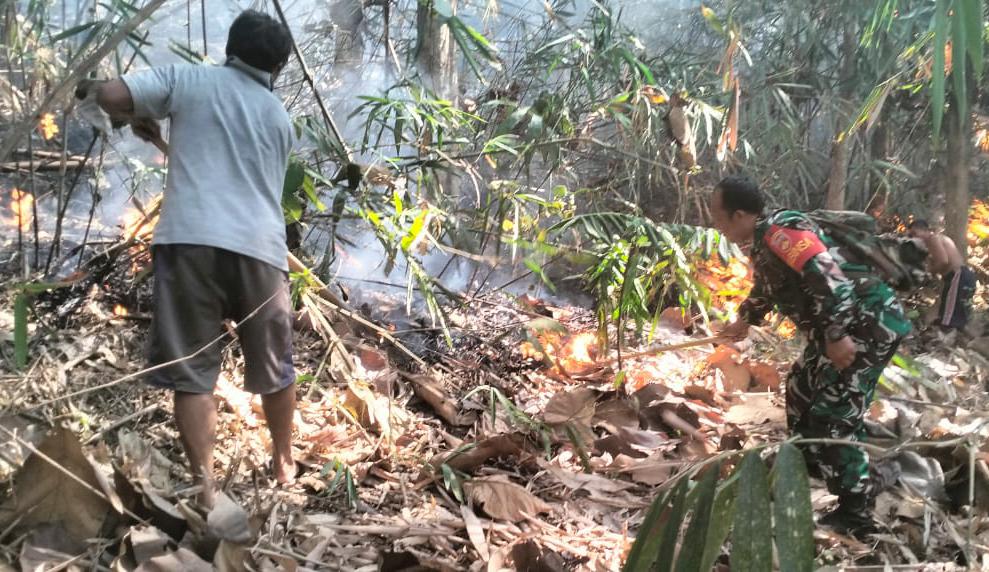 Hutan di Wilayah Desa Panimbang Kecamatan Cimanggu, Cilacap Terbakar, Penyebab Belum Diketahui