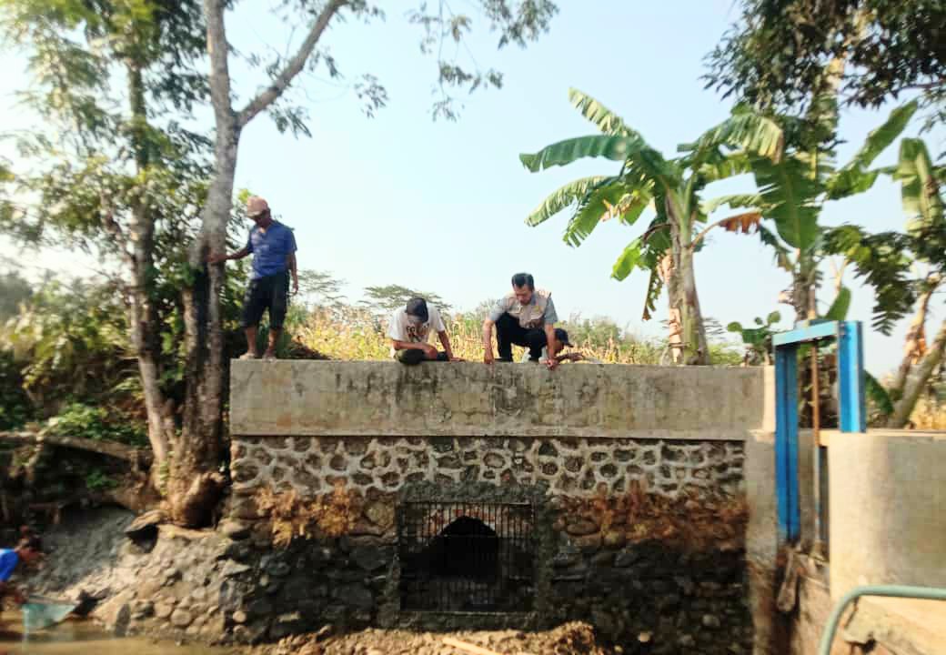 Aliri 15 Hektare Sawah di Banyumas, Jaringan Irigasi Bocor