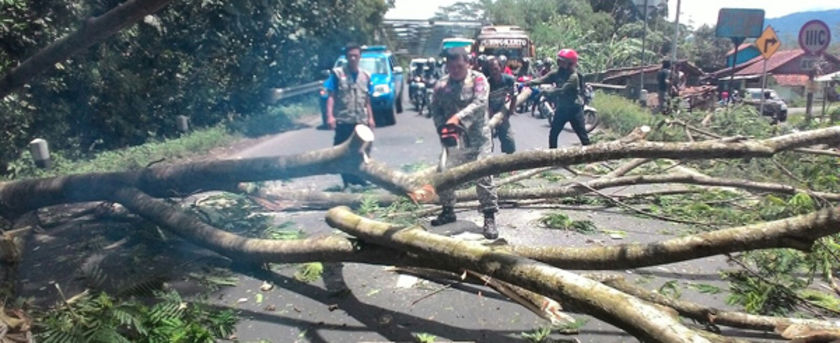 Satpol PP Purbalingga Jaring 11 PGOT di Wilayah Kota