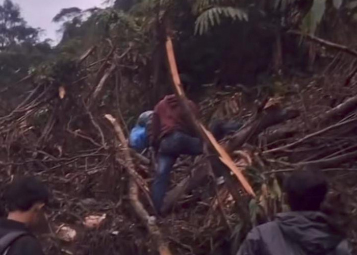 Longsor Tutup Satu-Satunya Jalan Sirau–Kramat Purbalingga, Akses Lumpuh Sejak Selasa Petang