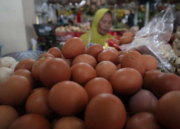 Kenaikan Harga Telur dan Cabai Picu Inflasi, Kacang Panjang dan Terong Deflasi