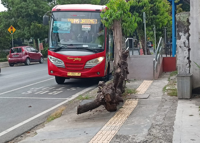 Penumpang Stabil 100 Persen, Baru Bisa Tambah Armada BRT