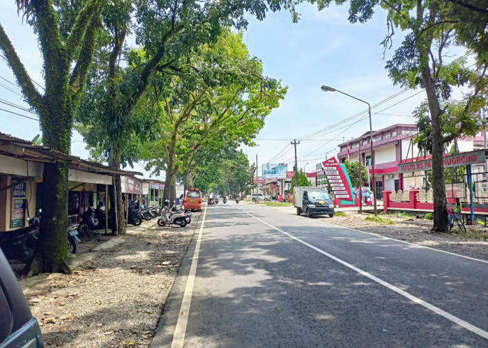 28 PKL Depan RS Panti Nugroho Akhirnya Memundurkan Warung