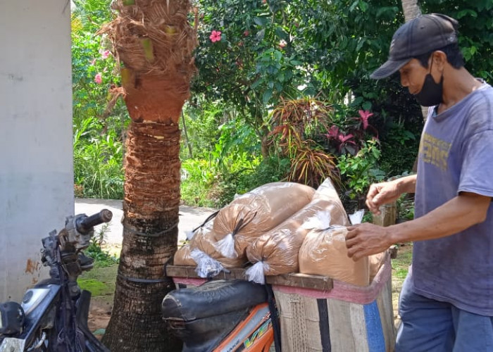  Penderes di Sumpiuh Kurangi Produksi Gula Kristal