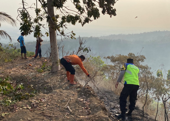Sehari, Dua Kebakaran Landa Perbukitan Kebumen, 3 Hektare Lahan Terbakar