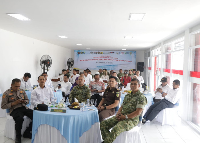 Dari 278 Koperasi Merah Putih, Baru 13 Masuk Tahap Operasional