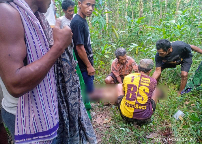 Terjatuh Saat Deres, Lansia di Kaliori Meninggal Dunia Setelah Jatuh dari Pohon Kelapa 10 Meter
