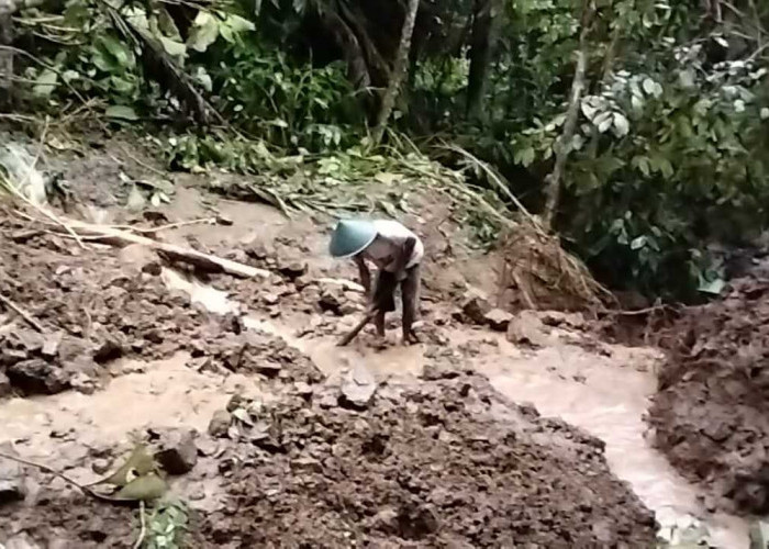 Bencana Longsor Terjadi di Desa Kaliori, 80 KK Terisolir