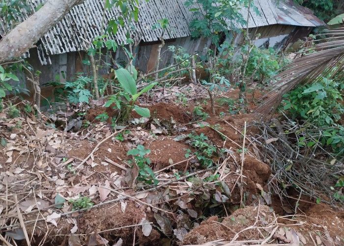 Retakan Tanah Ancam Rumah di Banyumas, Warga Mengungsi