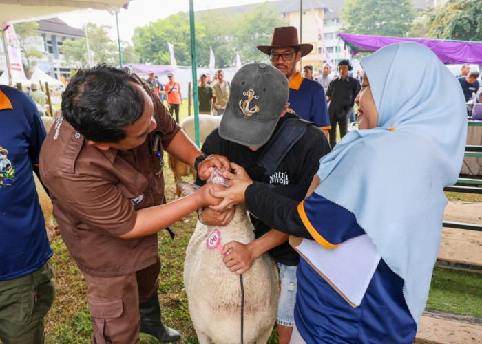 Upaya Pemprov Jateng Pastikan Kesehatan Hewan Kurban Iduladha 2026
