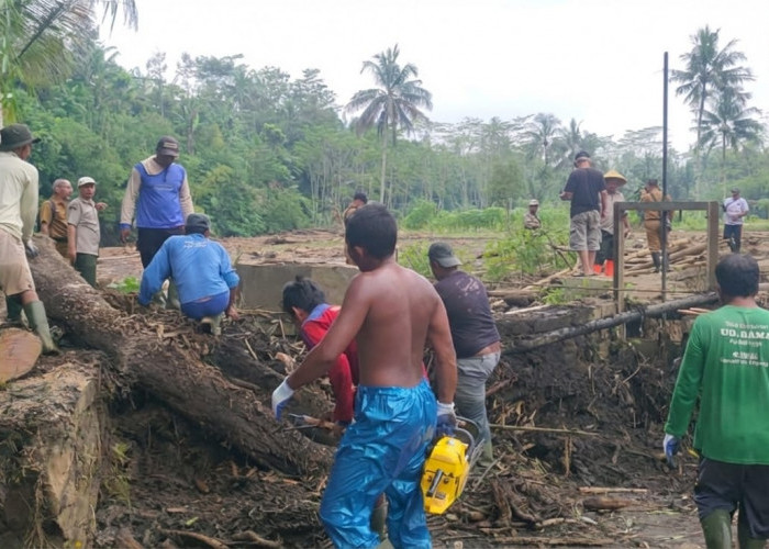 Banjir Bandang Karangreja Purbalingga, Bendung Sipetel dan Slinga Sempat Tersumbat Lumpur dan Kayu Gelondongan