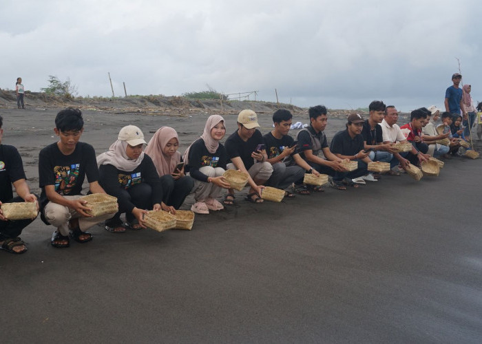 Pelepaskan Tukik Libatkan Komunitas Anak Muda