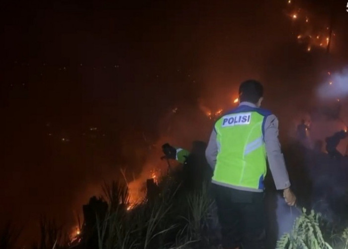 1, 5 Hektare Lahan Pinus di Karanggayam Kebumen Terbakar