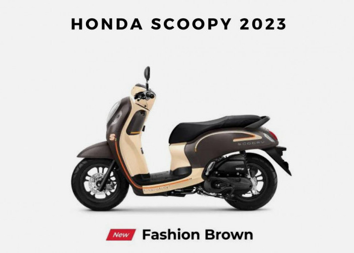 5 Motor Murah 2025 Merek Honda Scoopy yang Cocok, Termasuk Pilihan Motor Bekas