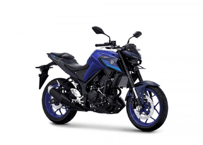 5 Kelebihan dan Kekurangan Motor Bekas Yamaha MT-25, Desain Maco Sporty!