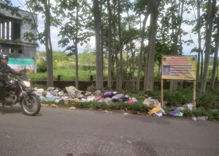 Penanganan Sisa Tumpukan Sampah Tempat Pembuangan Sampah Ilegal Dengan Diurug