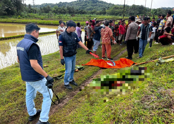 Tertemper KA Argo Semeru, Petani di Buayan Meninggal