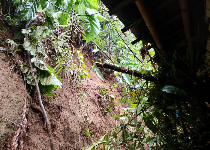 Tebing Longsor Rusak Dapur Rumah Warga di Gununglurah Cilongok
