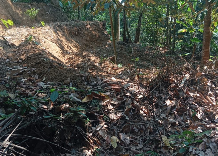 BPBD Banjarnegara Waspadai Karhutla, Kawasan Selatan Jadi Wilayah Paling Rawan