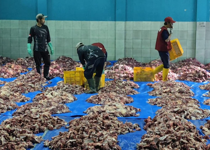 Desa Batur Banjarnegara Sembelih 176 Sapi dan 714 Kambing Saat Iduladha, Bagikan 8.600 Paket Daging