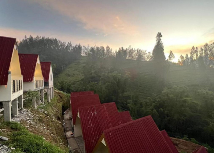Hotel Nature Bromo & Resort, Punya Kamar dengan Pemandangan Alam Indah!