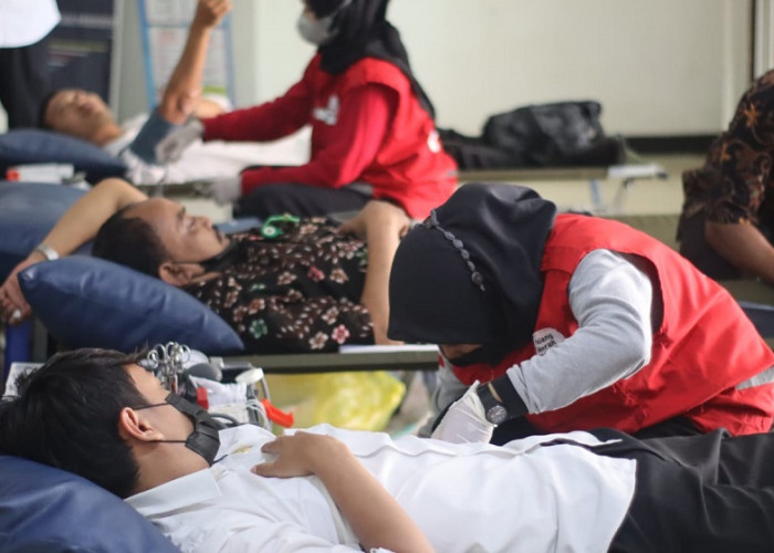 Sempat Kritis, Stok Darah di UDD PMI Kabupaten Purbalingga Kembali Normal 