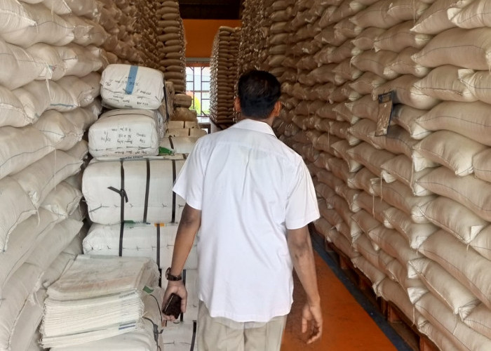 Stok Beras Tembus 10.522 Ton, Bulog Kebumen Gunakan Gudang Tambahan