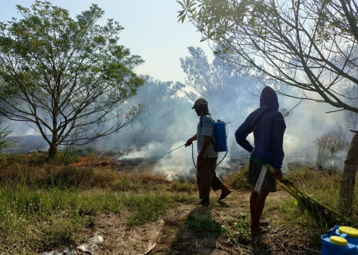 Lahan Tebu di Kampung Laut, Cilacap Terbakar, Penyebab Belum Diketahui