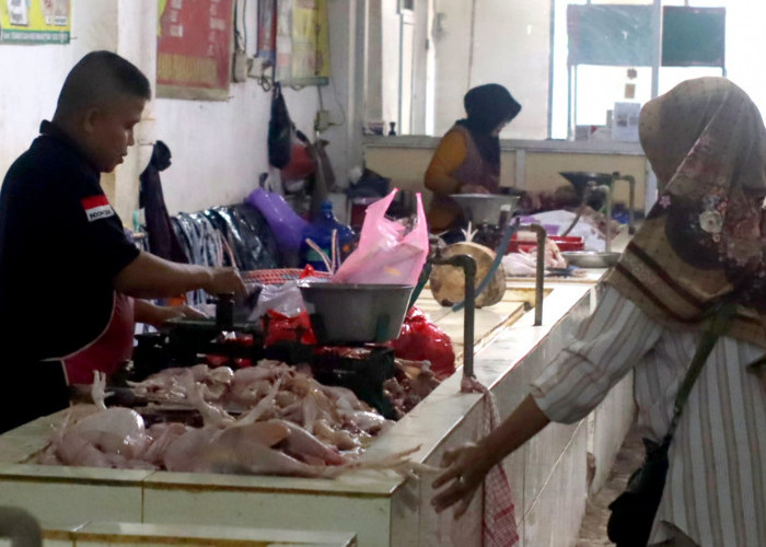 Harga Cabai dan Ayam di Banyumas Naik Usai MBG Berjalan Lagi