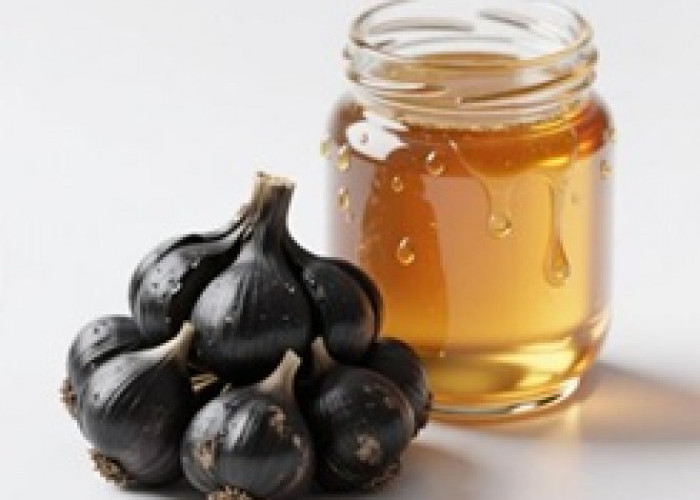Herbal Madu dan Bawang Hitam untuk Penyakit Kronis dan Cegah Gagal Ginjal
