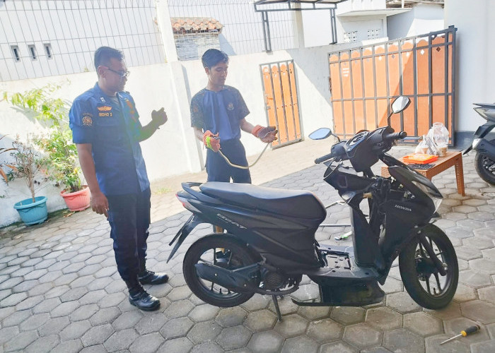 Ular Jali Masuk ke Bodi Motor Warga Gumilir, Damkar Cilacap Turun Tangan