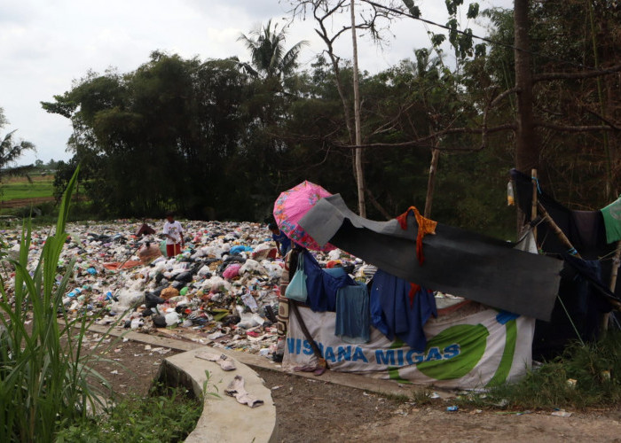 Pengelola Sampah di Kecamatan Kembaran : Hanggar Wilayah Kembaran Kerap Overload