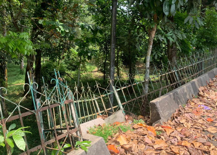 Kondisi Hutan Kota di Karanglewas Terlihat Tak Terawat, Lahan Mangkrak di Sebelah ikut Jadi Sorotan