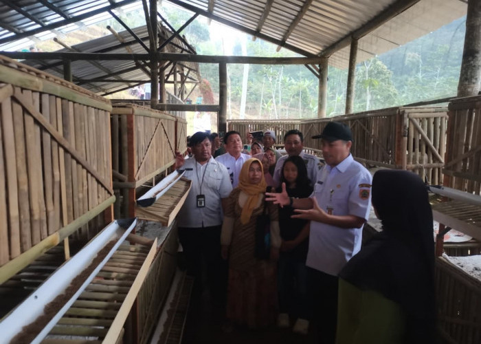 Desa Susukan Banjarnegara Jadi Percontohan Integrated Smart Farming di Jawa Tengah