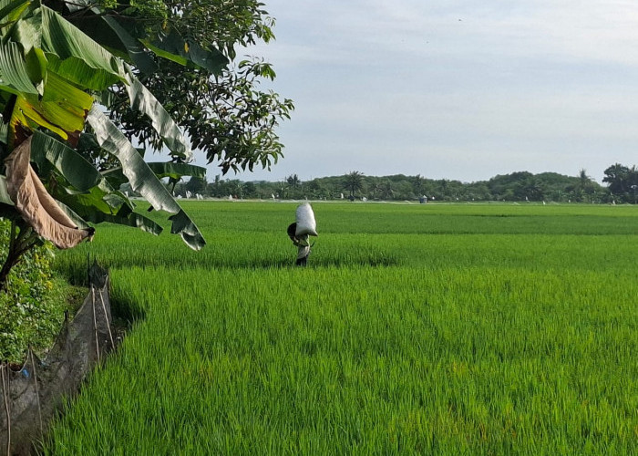 DPUPR Cilacap Ingatkan Tiga Izin Dasar Pembangunan